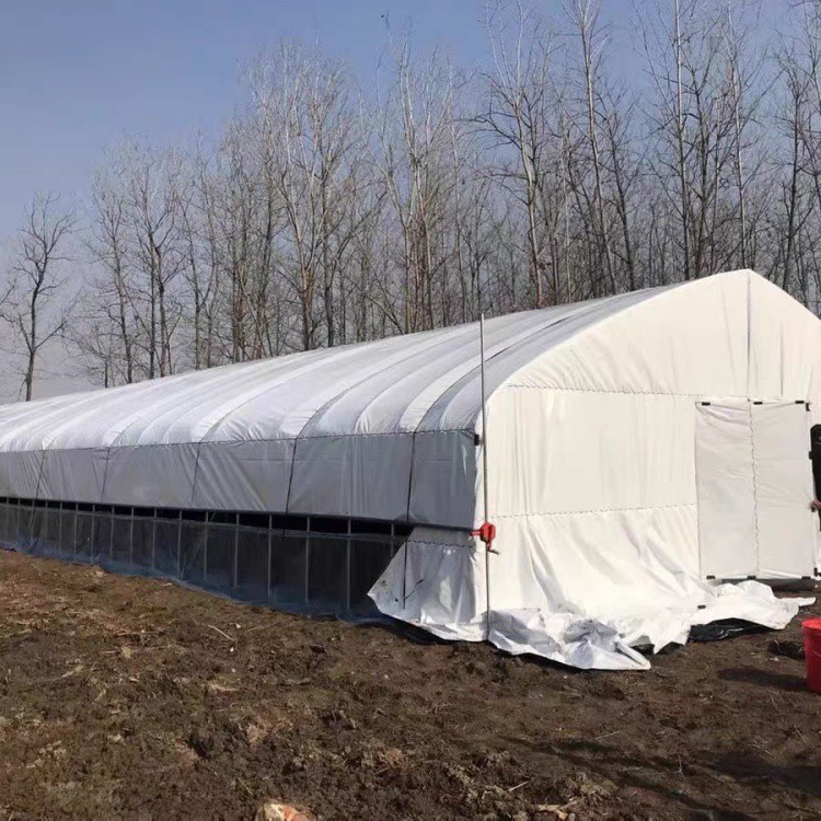 Must-valge polüfilm