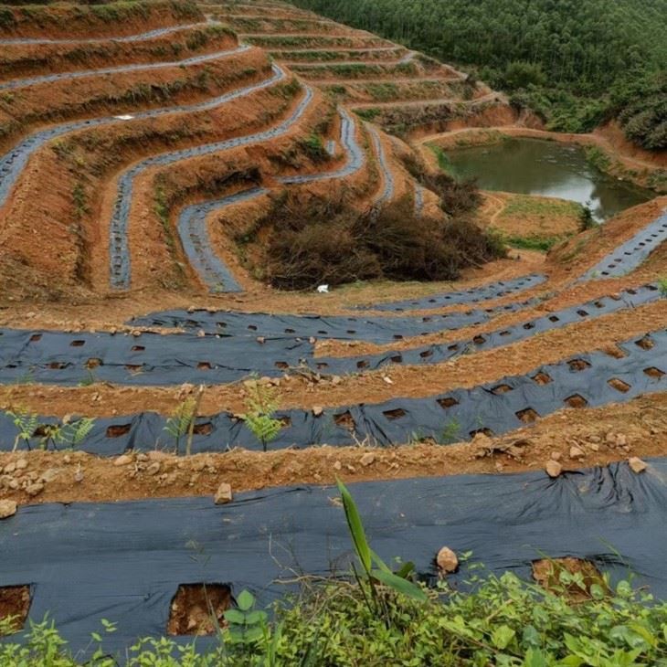 plastic mulch for vegetable garden – Different Colors Available on Request